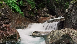 Wodogrzmoty Mickiewicza