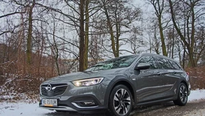 Opel Insignia Country Tourer na zdjęciach