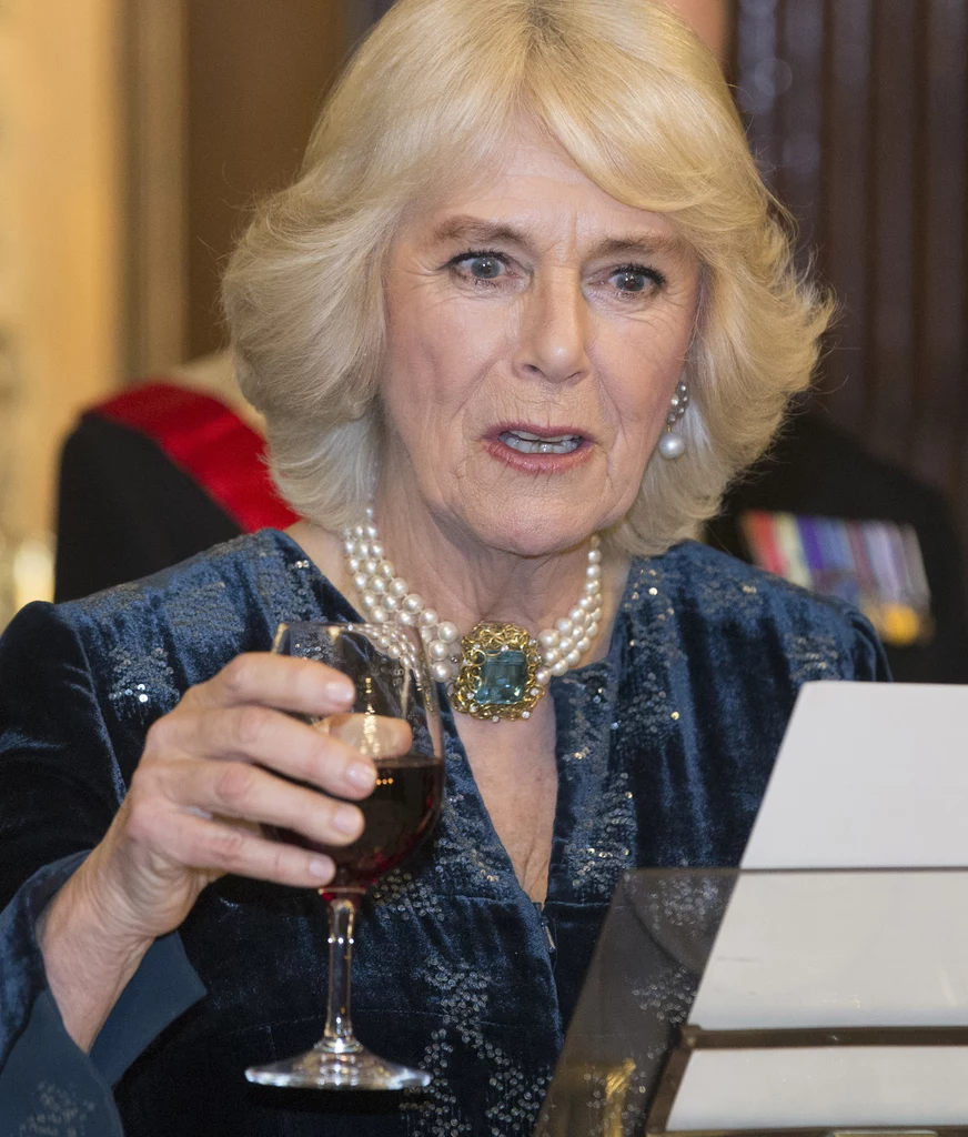 Księżna Camilla była zaskoczona porywczą reakcją Sarah podczas poobiedniego drinka