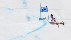 Alpejskie MŚ