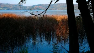 Jezioro Laacher See w Niemczech