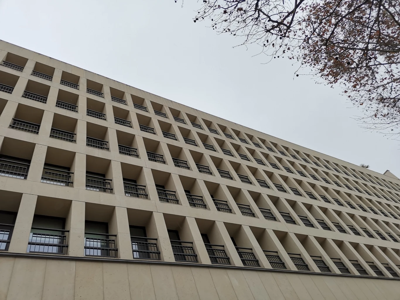 Przykładowe zdjęcie wykonane Honorem View20