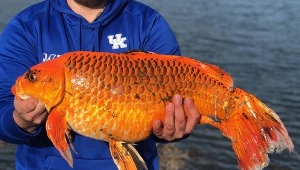 Ryba złowiona przez Huntera Andersona