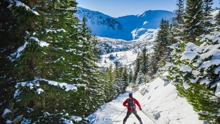 Gdzie warto jechać na narty w Polsce? 