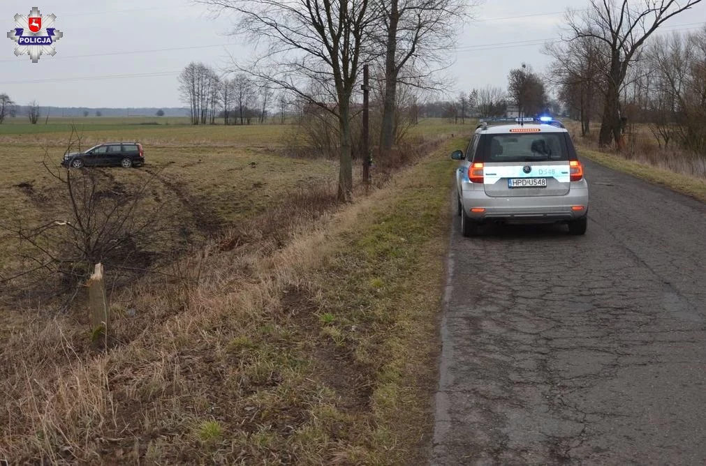 Kierowca ściął drzewo i zatrzymał się w polu