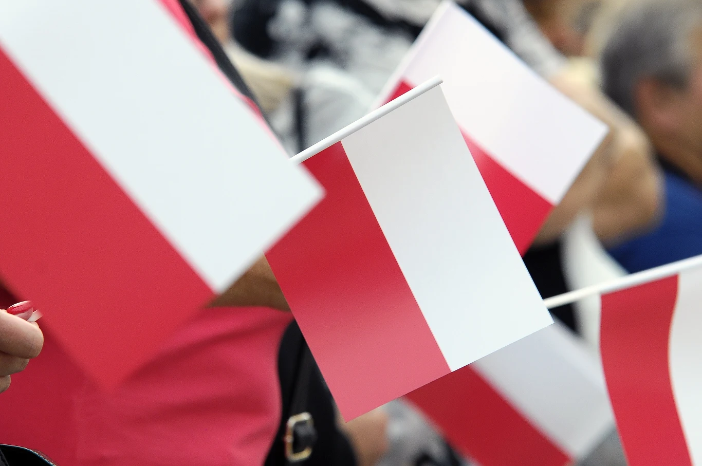 Zdj. ilustracyjne Zdj. ilustracyjne