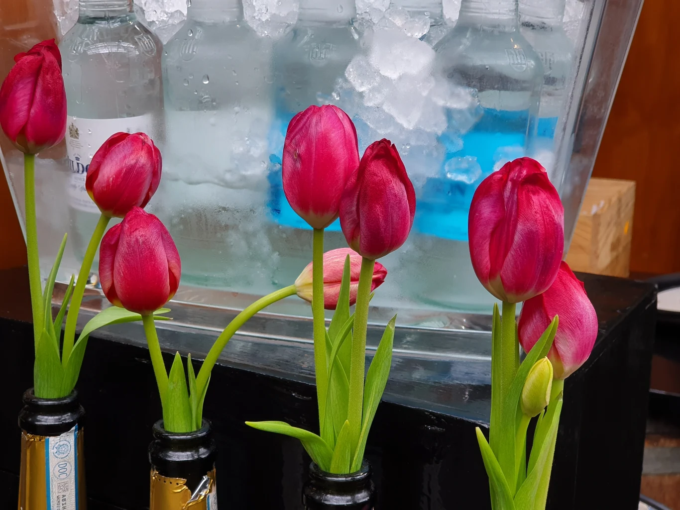 Przykładowe zdjęcie wykonane Samsungiem Galaxy S10