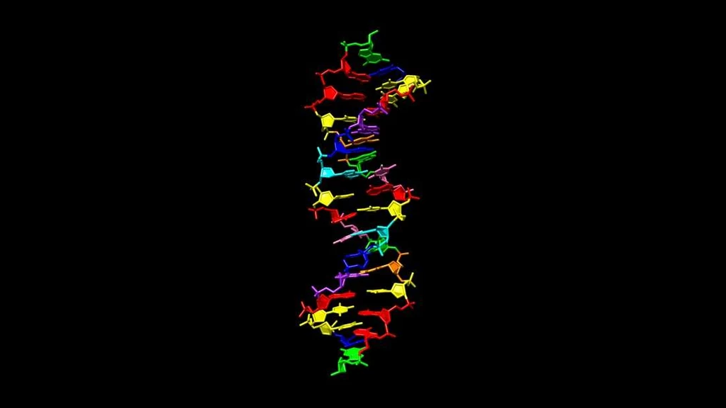 Wizja artystyczna hachimoji DNA