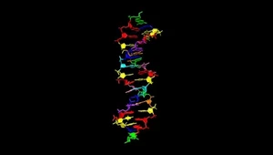 Stworzono 8-literowe, syntetyczne DNA