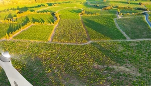 ​Przed światem coraz większe widmo głodu. Pomogą zdjęcia z satelitów? 