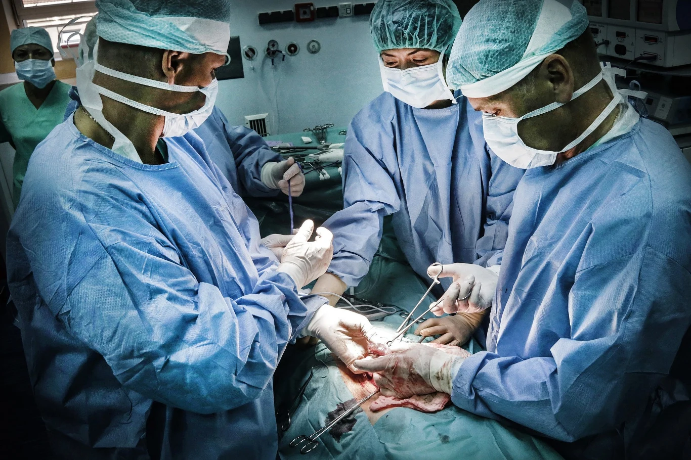 zdj. ilustracyjne zdj. ilustracyjne