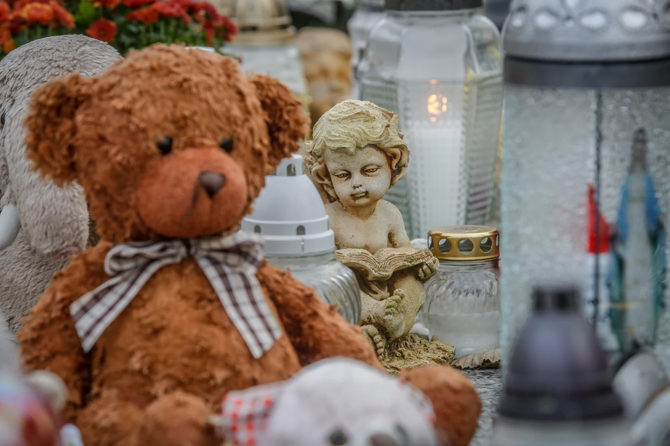 zdj. ilustracyjne zdj. ilustracyjne