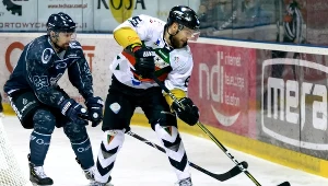 Filip Komorski (przy krążku) strzelił jednego z goli dla GKS-u Tychy