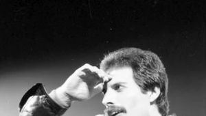 Freddie Mercury: Ukradziono głowę figury woskowej w Międzyzdrojach