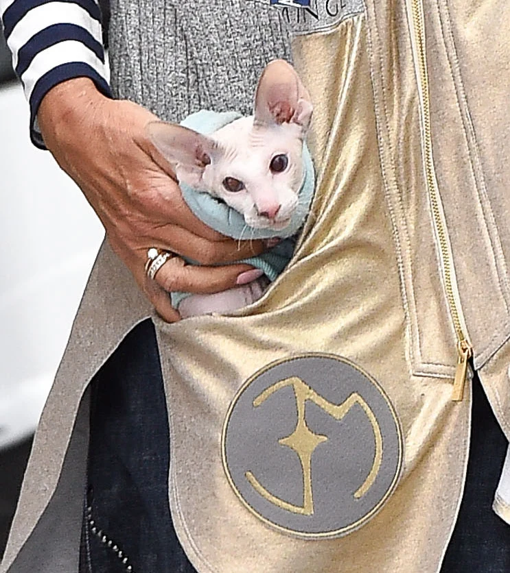 Ewa Minge z kotem Ewa Minge z kotem