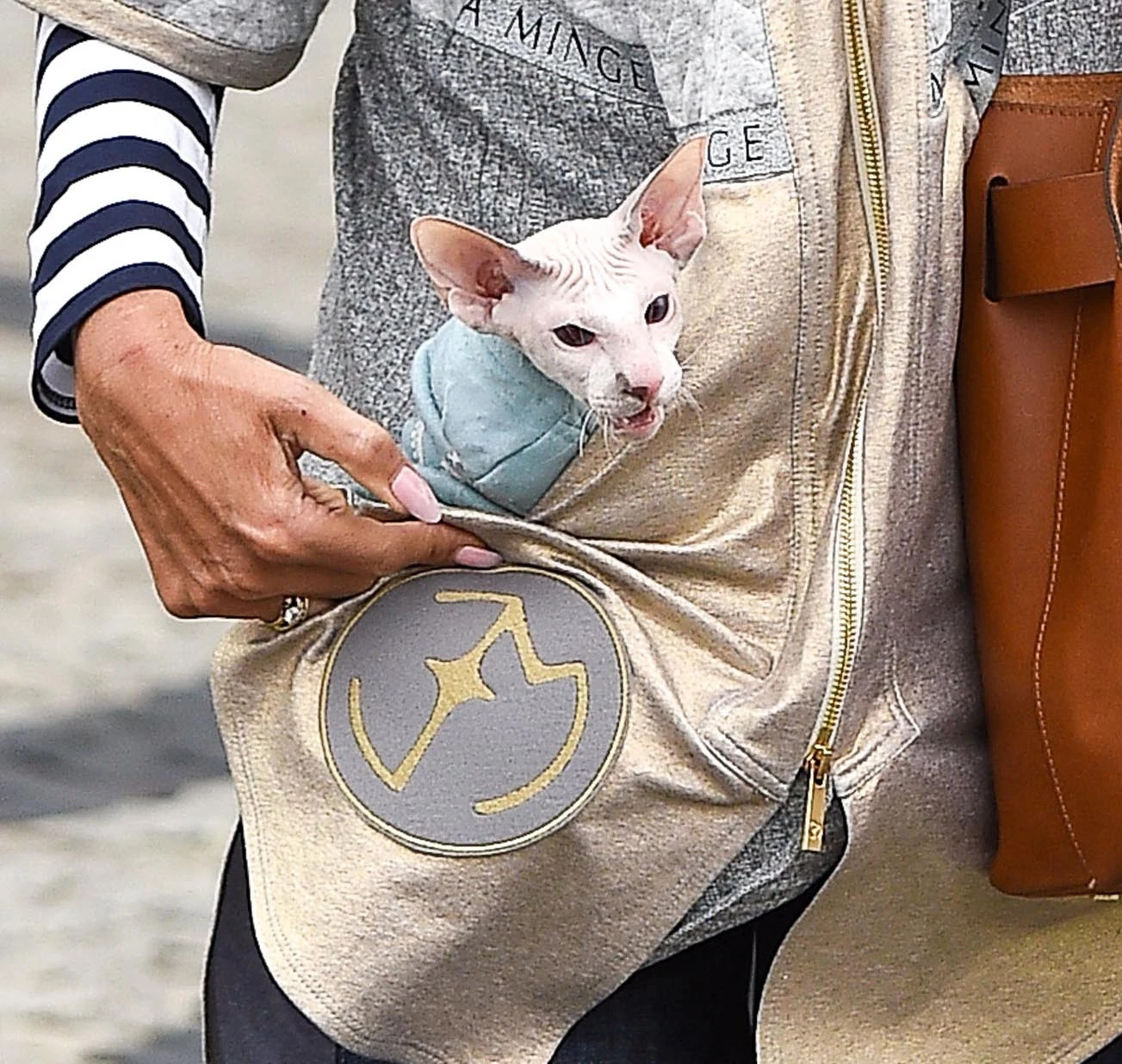 Ewa Minge z kotem Ewa Minge z kotem