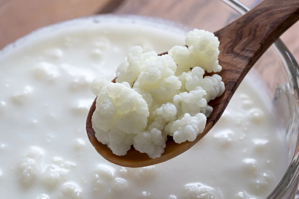 Kefir to doskonały probiotyk naturalny