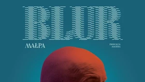 Recenzja Małpa "Blur": Tajemnica spowiedzi