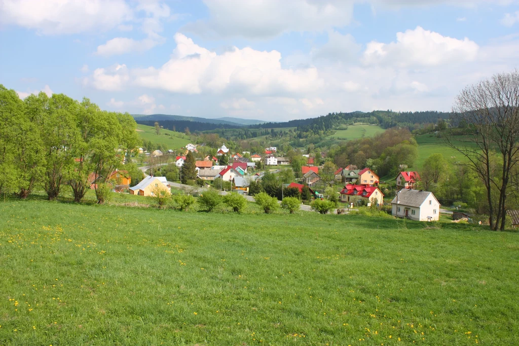 Widok na Bieszczady