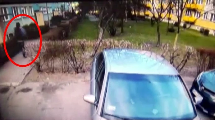 Autobus stoczył się na audi, a złodziej... poszedł do domu Autobus stoczył się na audi, a złodziej... poszedł do domu