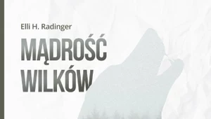 Mądrość wilków, Elli H. Radinger