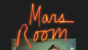 Mars Room, Rachel Kushner