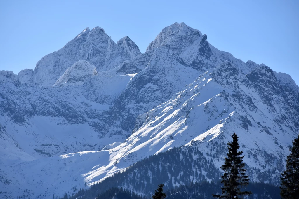 Rysy, Tatry Wysokie widziane z Rusinowej Polany Rysy, Tatry Wysokie widziane z Rusinowej Polany
