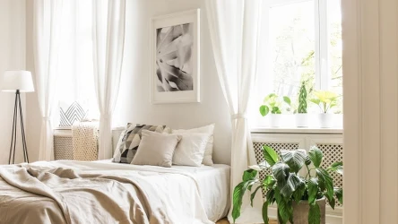 Których kwiatów lepiej unikać w sypialni? 