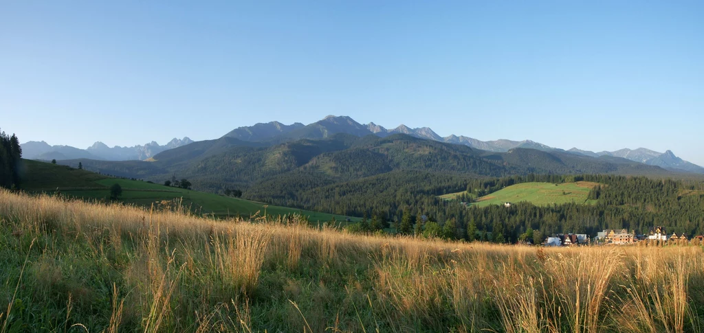 Polskie Tatry - widok z Wierchu Zgorzelisko