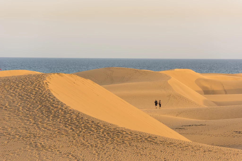 Wydmy w Maspalomas