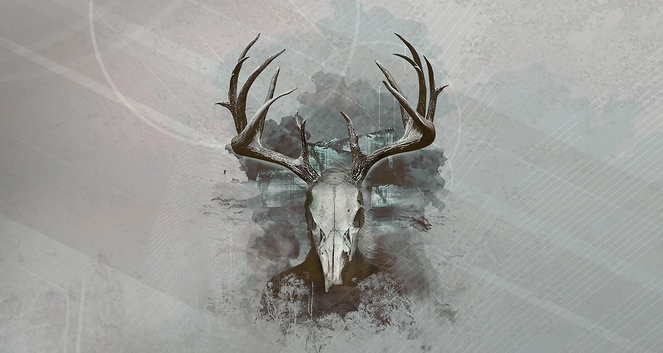 Intruders: Hide and Seek Intruders: Hide and Seek