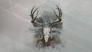 Intruders: Hide and Seek