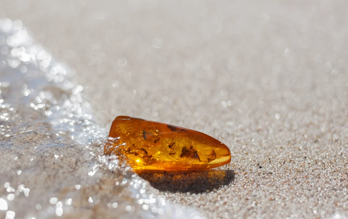 Według przesądów bursztyn w portfelu ma przyciągać pieniądze. 