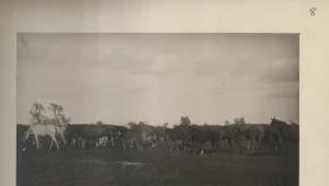 Janów Podlaski w czasach II Rzeczpospolitej