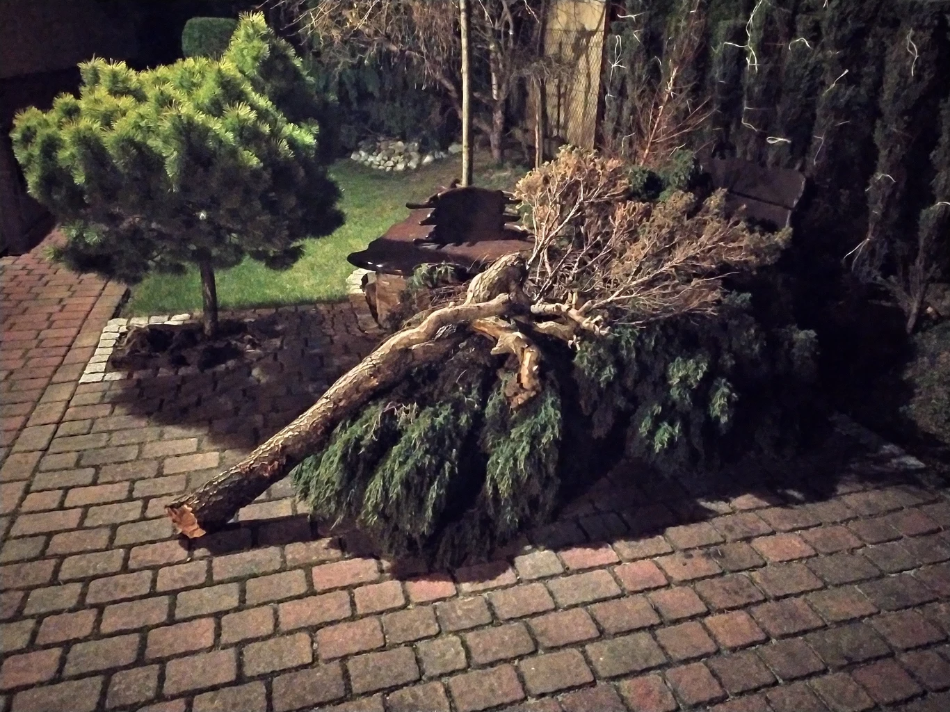 Zdjęcie zrobione Redmi Note 7