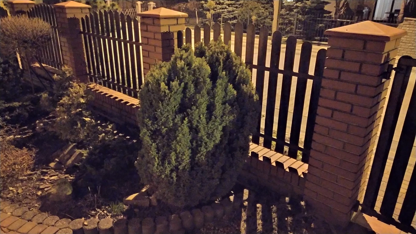 Zdjęcie zrobione Redmi Note 7