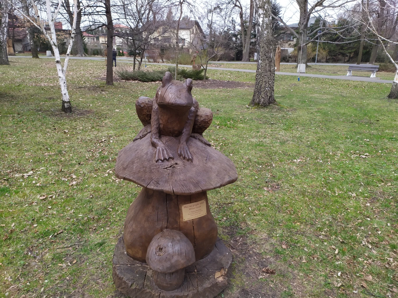 Zdjęcie zrobione Redmi Note 7