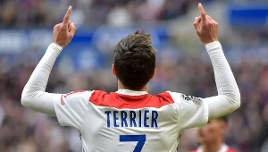 Martin Terrier
