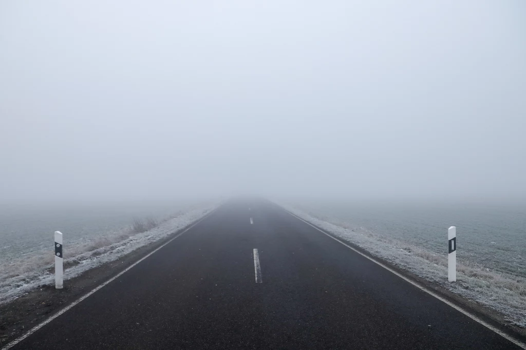 Mgła a przepisy drogowe. Jak zachować się podczas mgły?