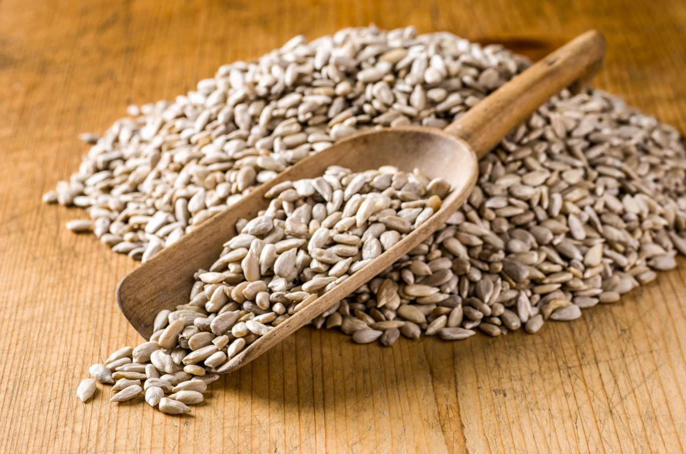 Pasta z nasion słonecznika to dobre źródło białka pochodzenia roślinnego, które wspiera regenerację mięśni i tkanek, co jest szczególnie ważne w starszym wieku. Pasta z nasion słonecznika to dobre źródło białka pochodzenia roślinnego, które wspiera regenerację mięśni i tkanek, co jest szczególnie ważne w starszym wieku.