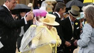 Parasolki Królowej Elżbiety