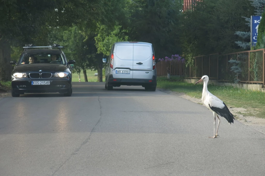 Mieszkańcy chcą rozproszyć ruch po drogach lokalnych