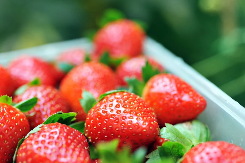 Truskawki i ananasy Wiele się mówi o tym, że dieta bogata w owoce i warzywa jest korzystna dla zębów, szczególnie chrupanie surowych warzyw świetnie czyści zęby z płytki nazębnej. Są jednak i inne metody wykorzystujące owoce. Pierwszy to miks truskawki z sodą oczyszczoną. Zawarty w truskawkach kwas jabłkowy delikatnie czyści zęby z przebarwień, a soda – wybiela je. Truskawki i ananasy Wiele się mówi o tym, że dieta bogata w owoce i warzywa jest korzystna dla zębów, szczególnie chrupanie surowych warzyw świetnie czyści zęby z płytki nazębnej. Są jednak i inne metody wykorzystujące owoce. Pierwszy to miks truskawki z sodą oczyszczoną. Zawarty w truskawkach kwas jabłkowy delikatnie czyści zęby z przebarwień, a soda – wybiela je.