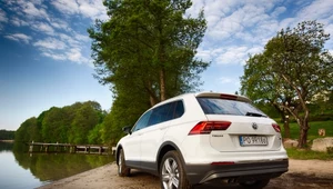 Volkswagen Tiguan. Król wśród SUV-ów