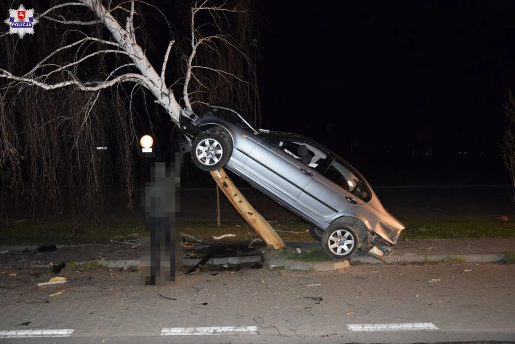 BMW wjechało... na drzewo