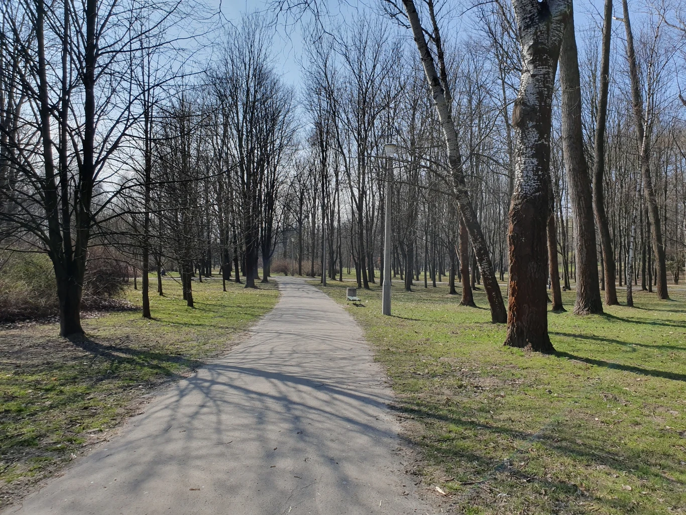 Zdjęcie wykonane Samsungiem S10e