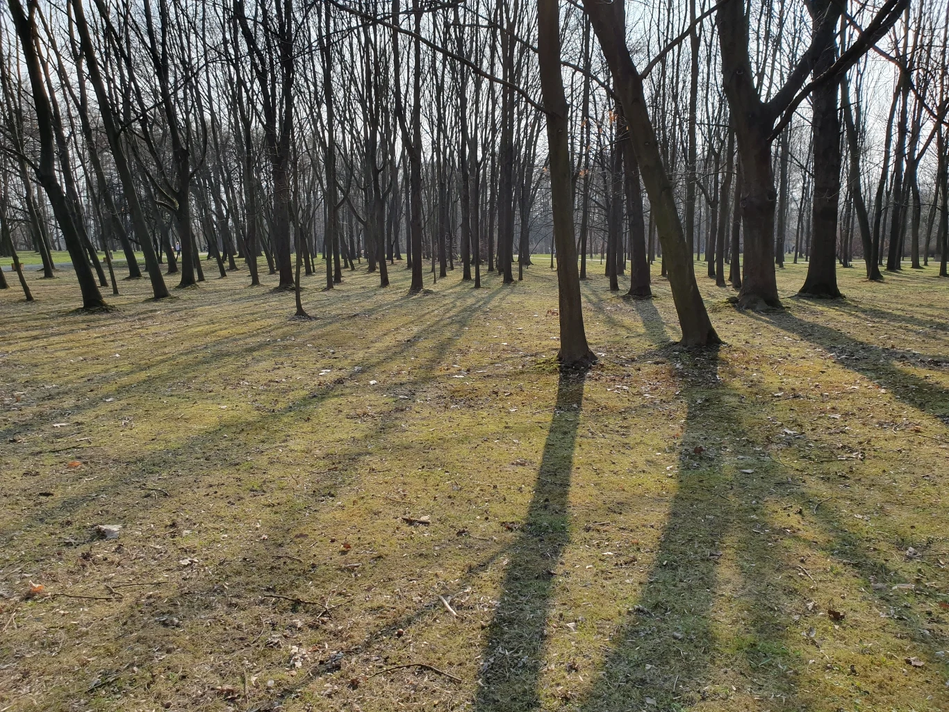 Zdjęcie wykonane Samsungiem S10e