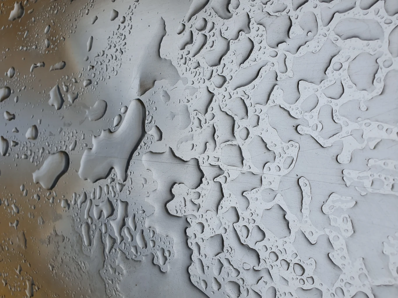 Zdjęcie wykonane Samsungiem S10e