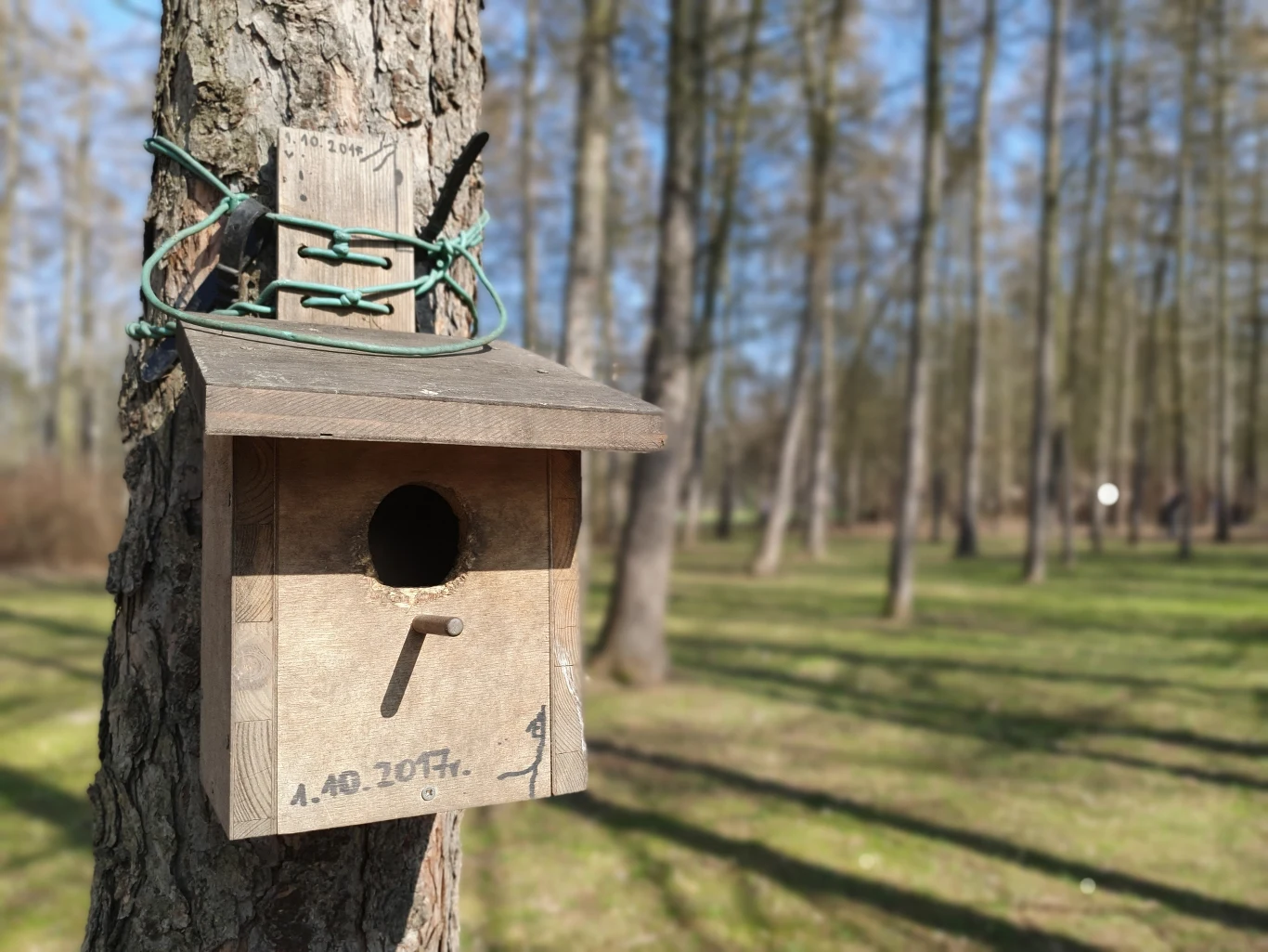 Zdjęcie wykonane Samsungiem S10e