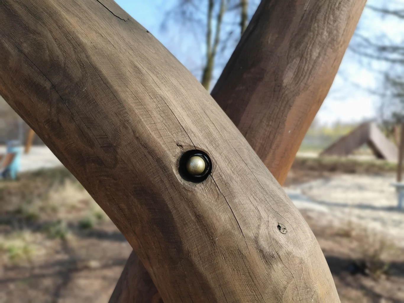 Zdjęcie wykonane Samsungiem S10e